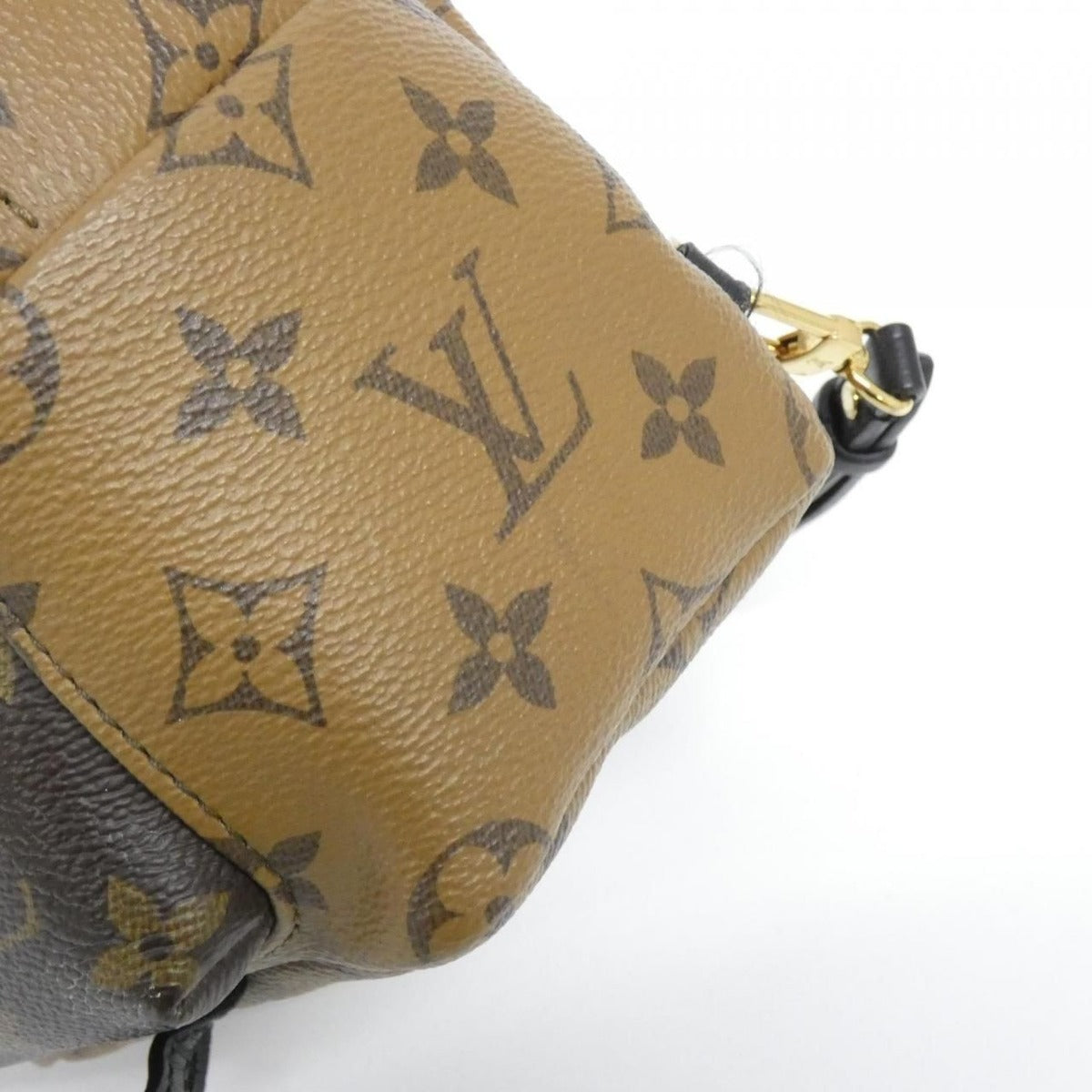 Louis Vuitton Monogram Reverse Palm Springs Backpack Mini Sac — view 6