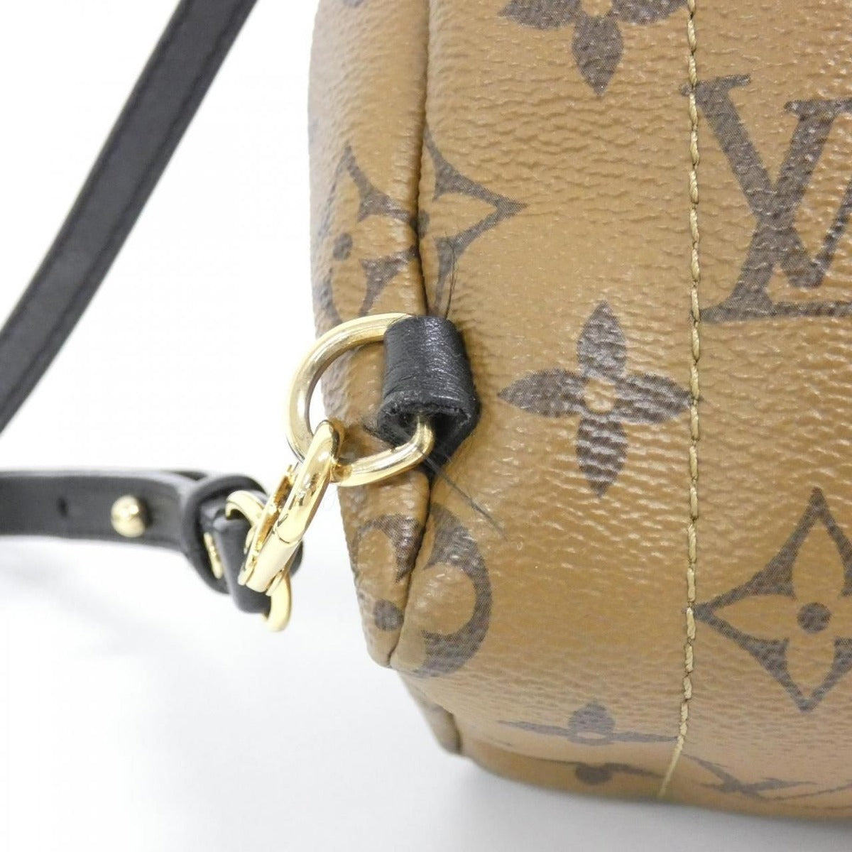 Louis Vuitton Monogram Reverse Palm Springs Backpack Mini Sac — view 7