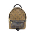Louis Vuitton Monogram Reverse Palm Springs Backpack Mini Sac