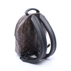 Louis Vuitton Backpack Palm Springs PM Monogram Canvas Leather PM — view 2
