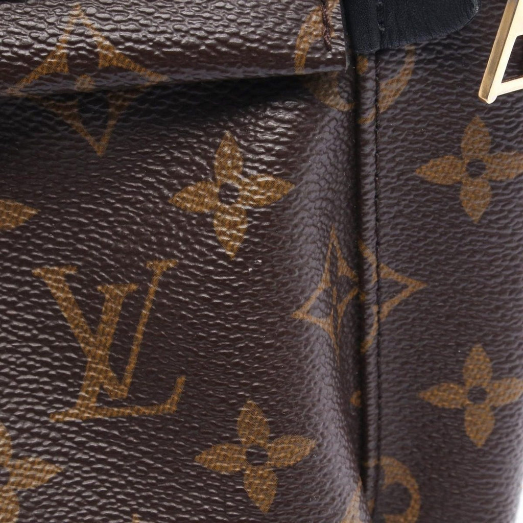 Louis Vuitton Backpack Palm Springs PM Monogram Canvas Leather PM — view 8