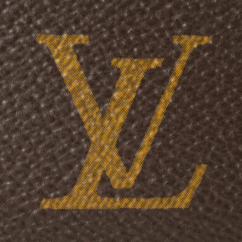 Louis Vuitton Handbag Dauphine Soft GM Brown — view 6