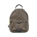Louis Vuitton Monogram Palm Springs Backpack PM Rucksack Sac
