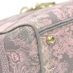 Christian Dior Handbag Lady D-light — view 7