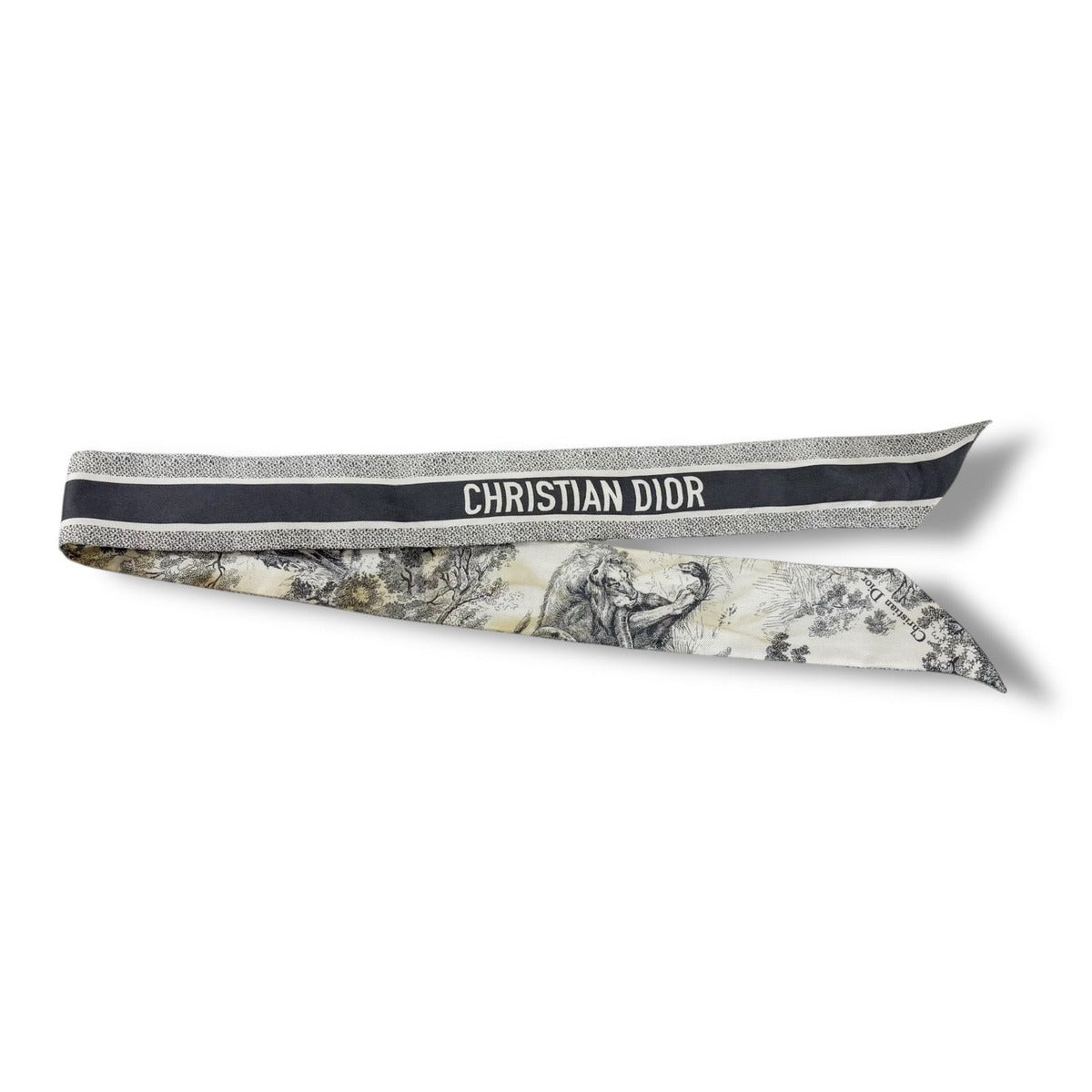Dior Mizza Toile de Jouy Sauvage Scarf — view 2
