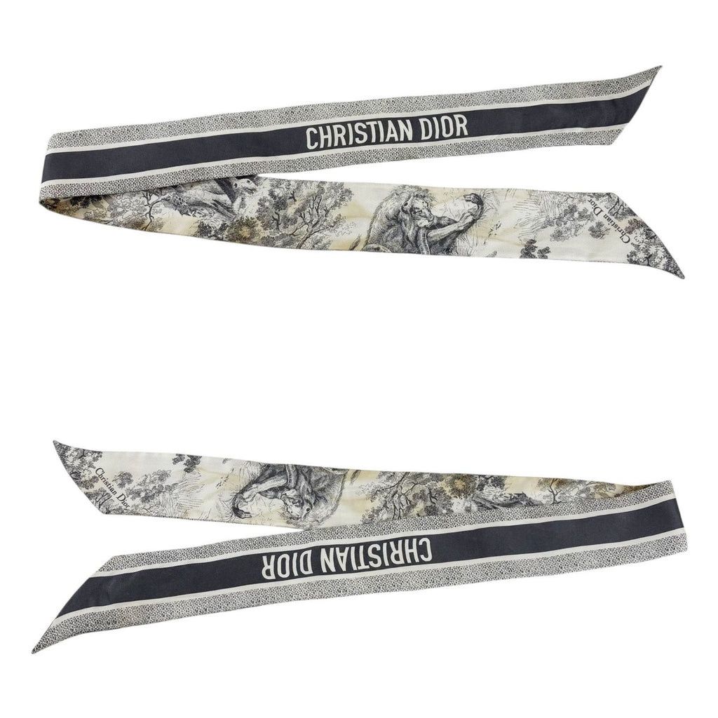 Dior Mizza Toile de Jouy Sauvage Scarf — view 3