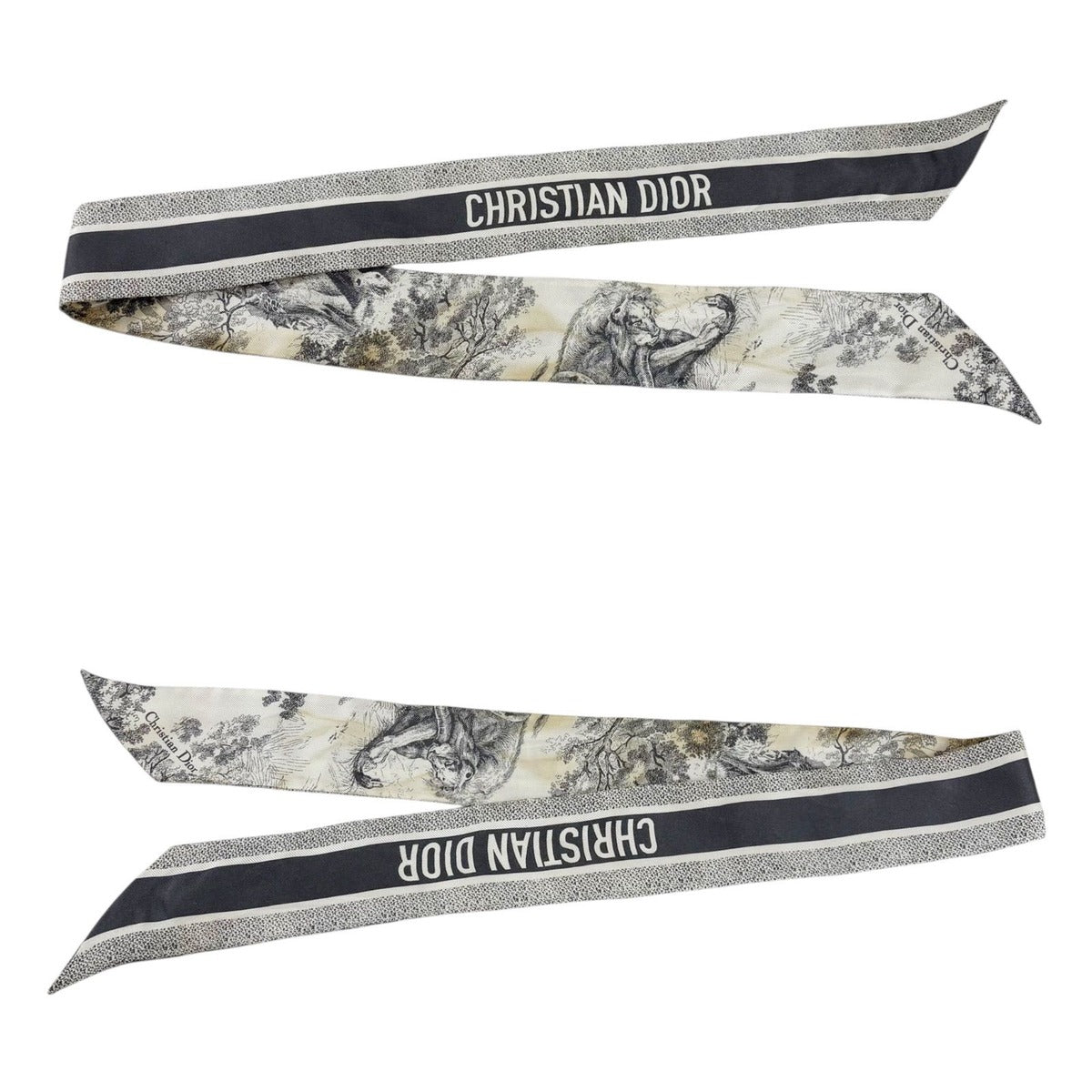 Dior Mizza Toile de Jouy Sauvage Scarf — view 3
