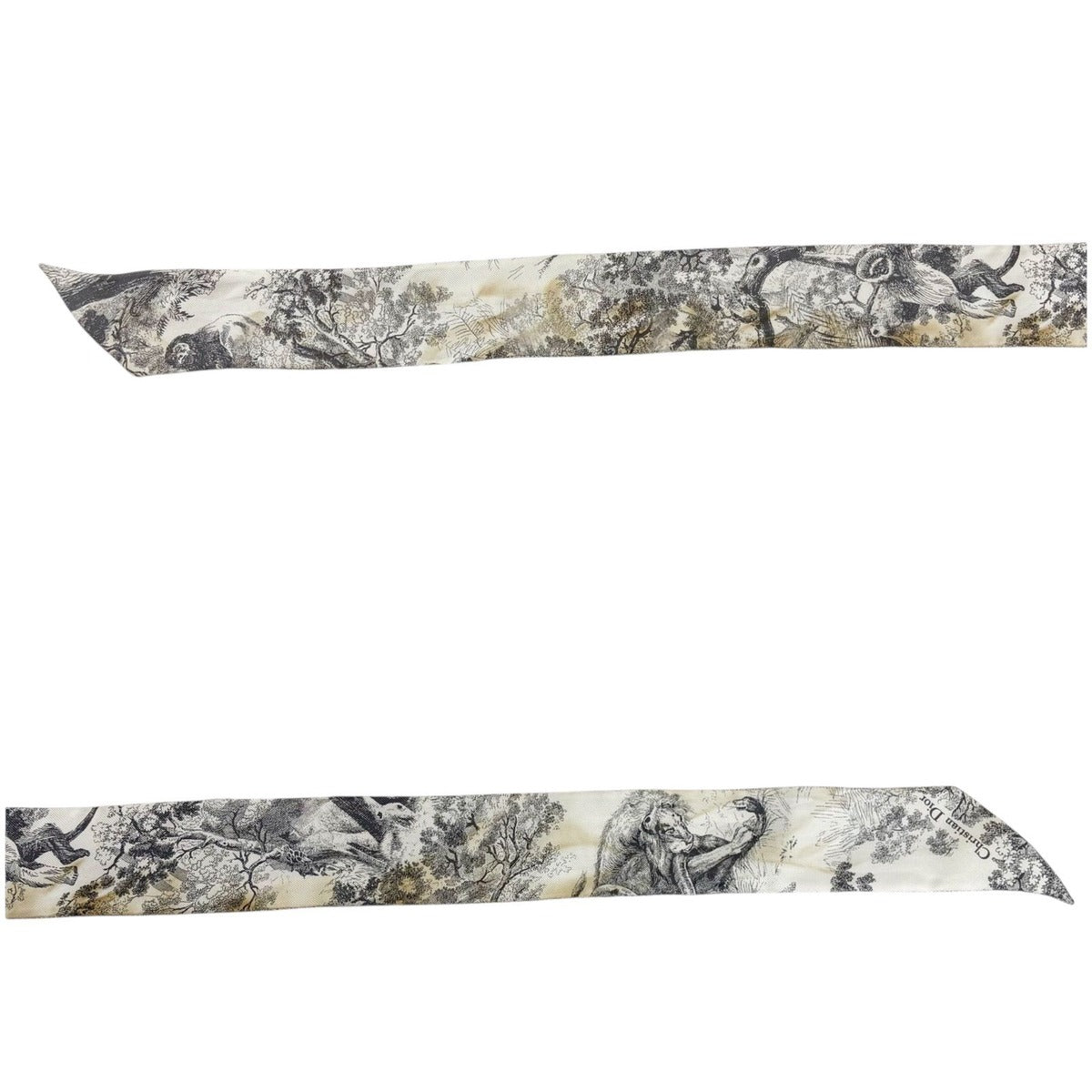 Dior Mizza Toile de Jouy Sauvage Scarf — view 5