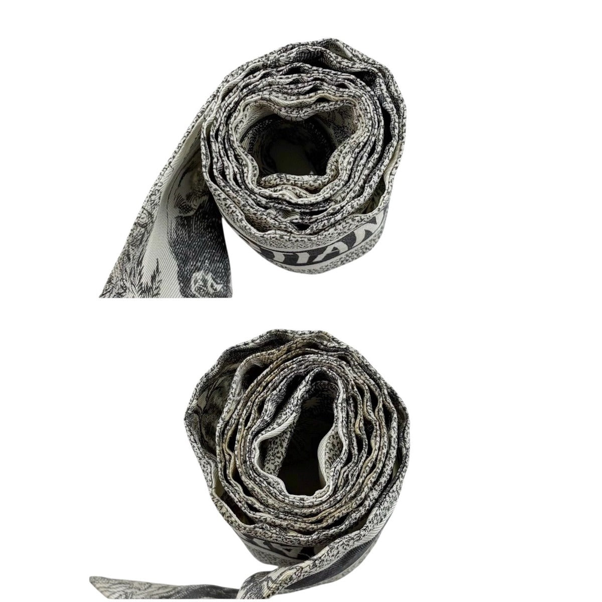 Dior Mizza Toile de Jouy Sauvage Scarf — view 7