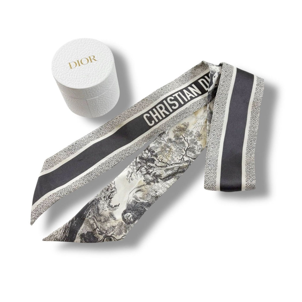 Dior Mizza Toile de Jouy Sauvage Scarf