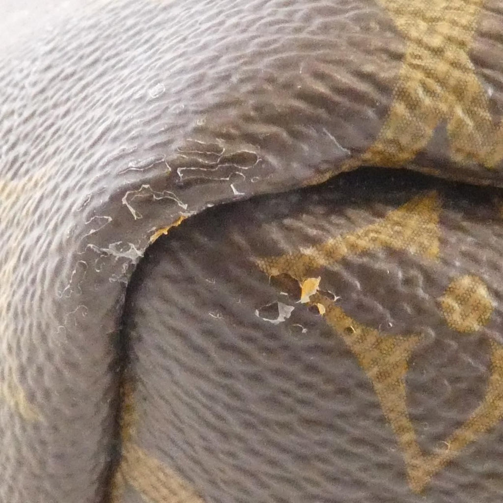 Louis Vuitton Monogram Palm Springs Backpack MM Brown Marron — view 4