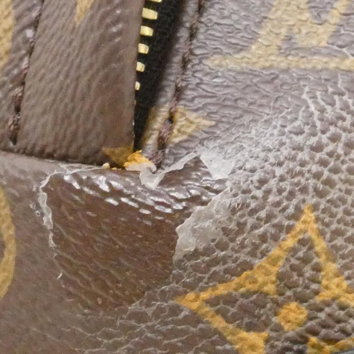Louis Vuitton Monogram Palm Springs Backpack MM Brown Marron — view 5