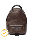 Louis Vuitton Backpack Palm Springs Mini Monogram