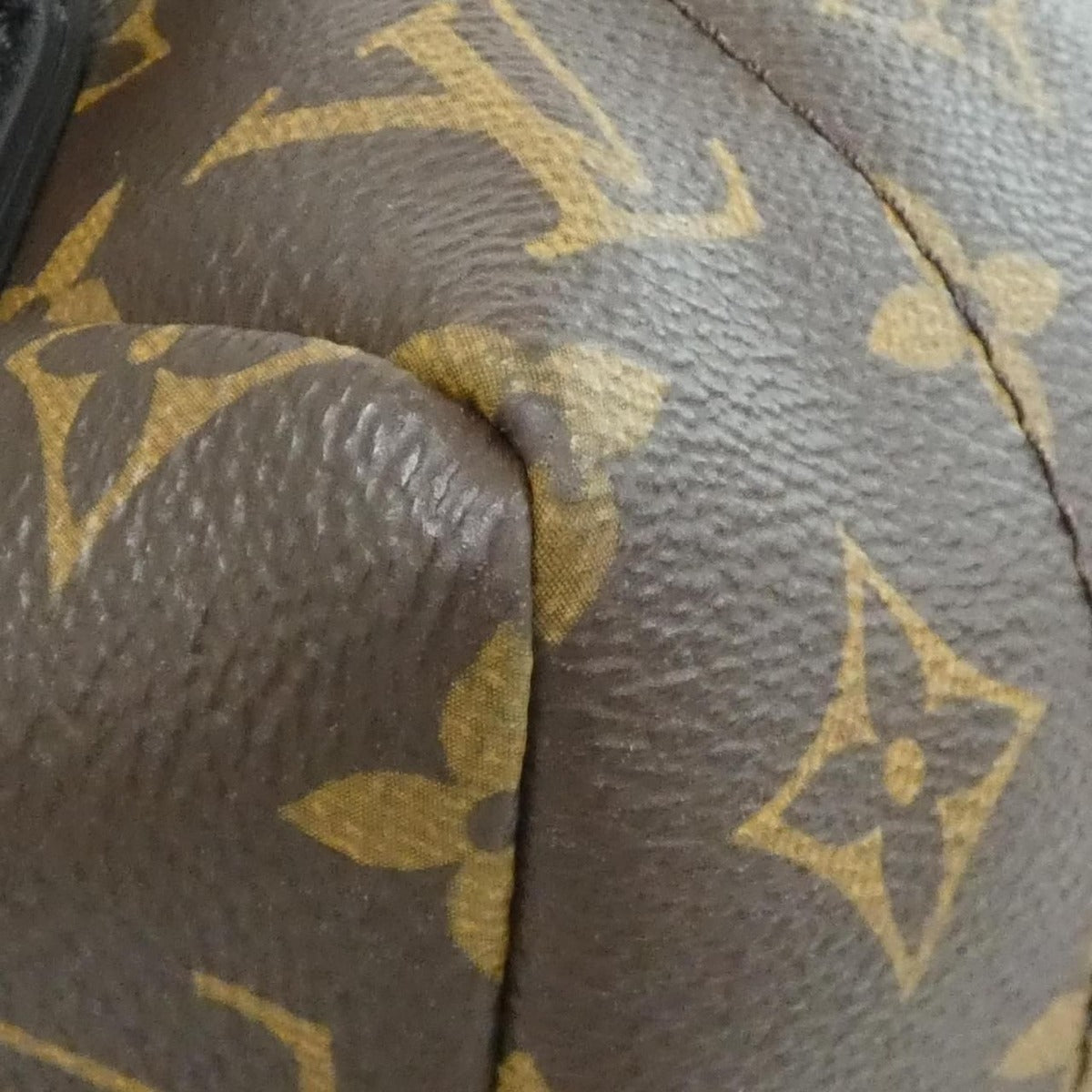 Louis Vuitton Monogram Palm Springs Backpack MM Sac — view 3