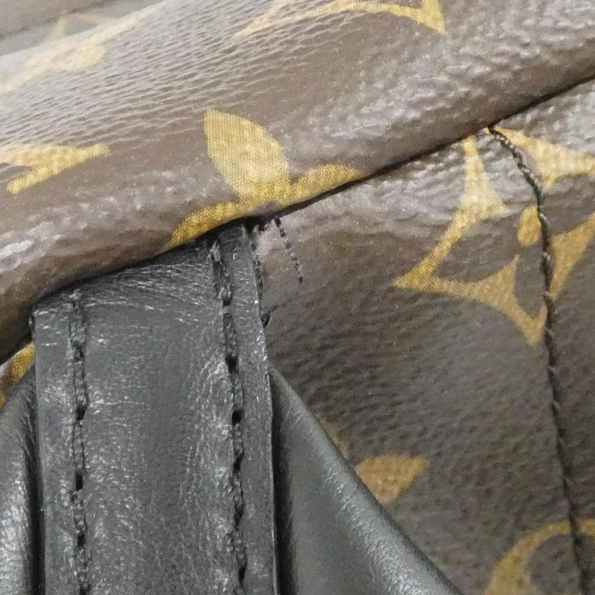 Louis Vuitton Monogram Palm Springs Backpack MM Sac — view 5
