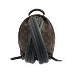 Louis Vuitton Monogram Palm Springs Backpack PM Sac — view 2