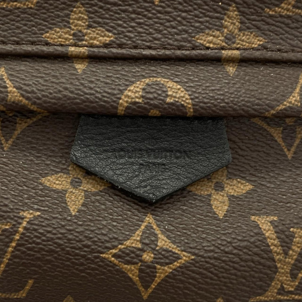 Louis Vuitton Monogram Palm Springs Backpack PM Sac — view 4