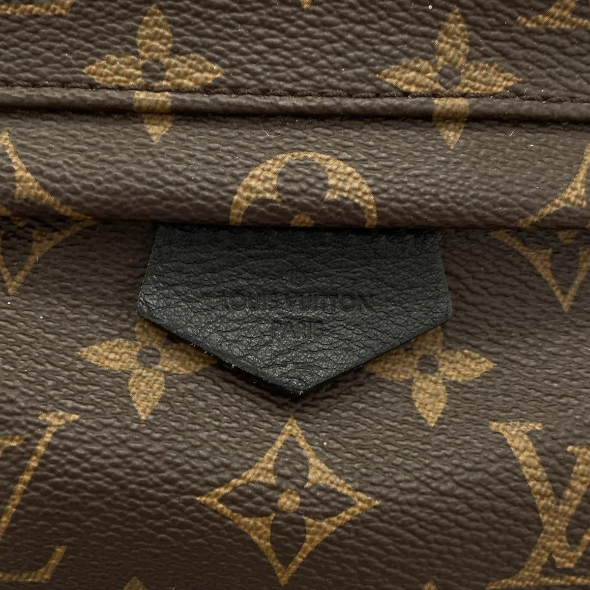 Louis Vuitton Monogram Palm Springs Backpack PM Sac — view 4