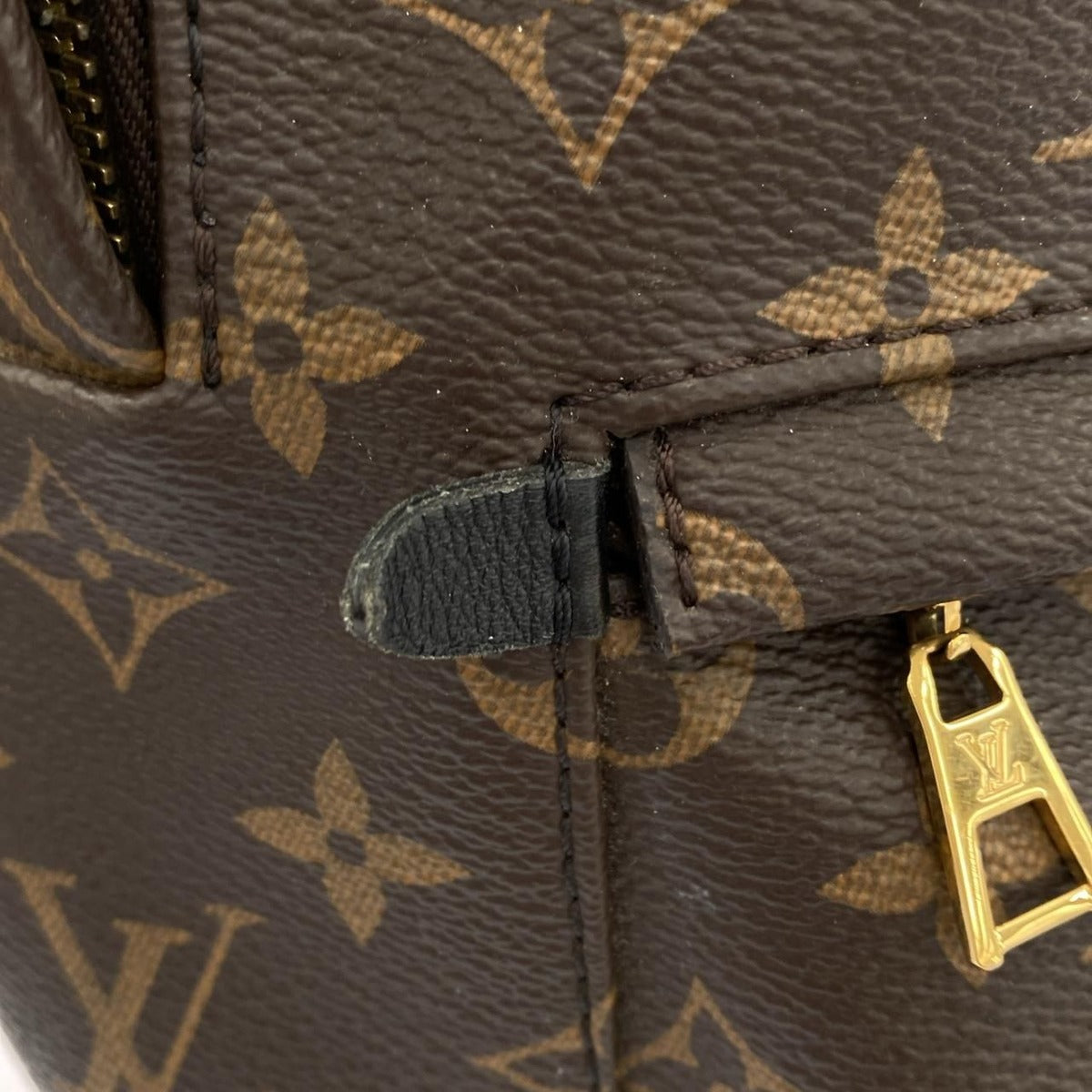 Louis Vuitton Monogram Palm Springs Backpack PM Sac — view 5
