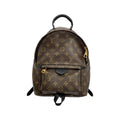Louis Vuitton Monogram Palm Springs Backpack PM Sac
