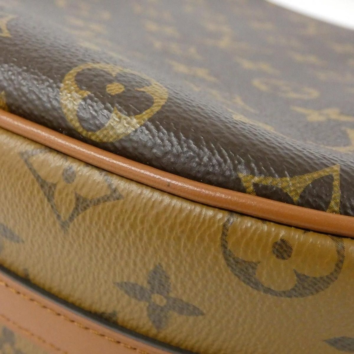 Louis Vuitton Monogram Reverse Loop Hobo Shoulder Bag — view 2