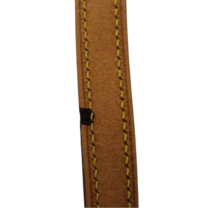 Louis Vuitton Chien Ti PM Shoulder Bag with Damage — view 3