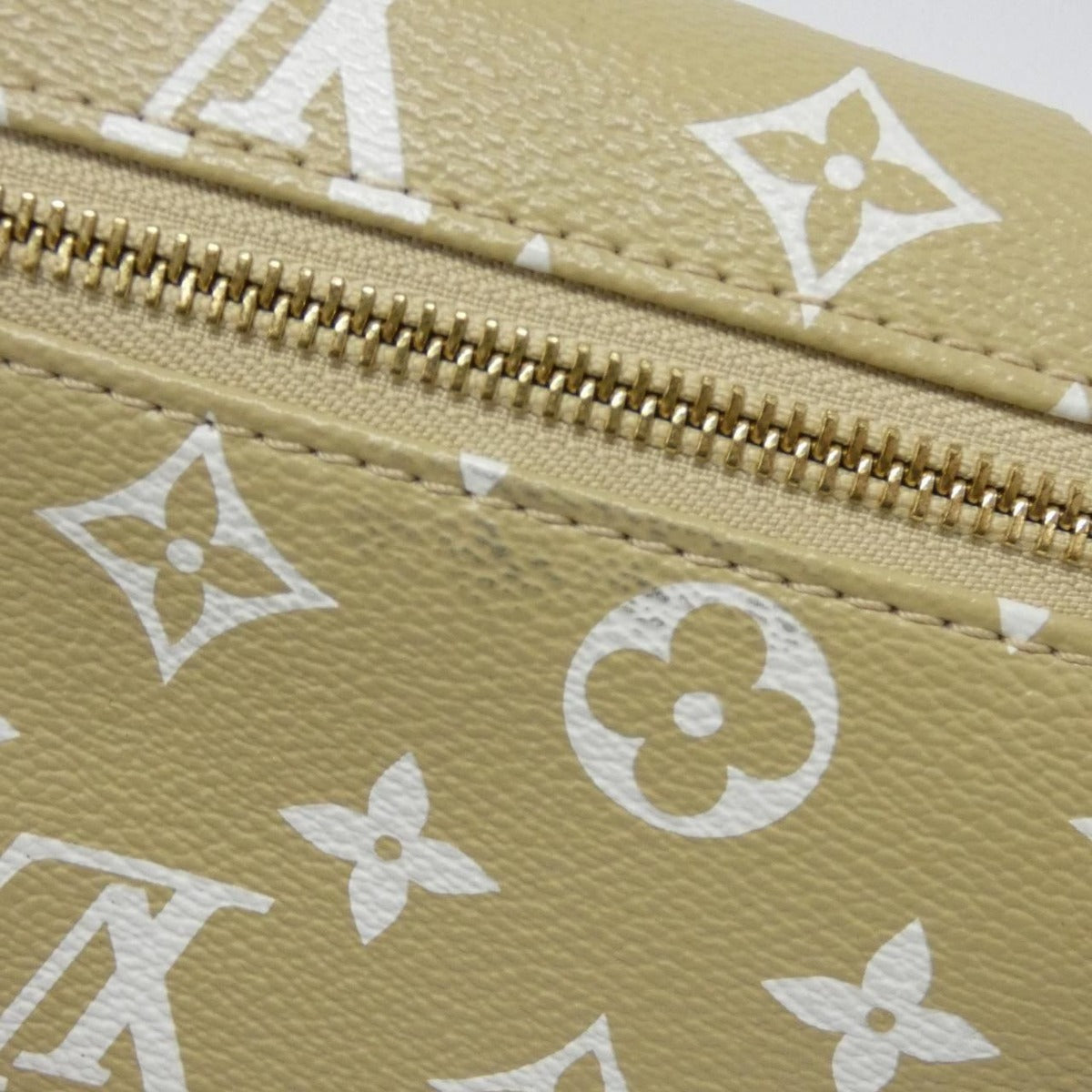 Louis Vuitton Monogram Giant Bum Bag Shoulder — view 4
