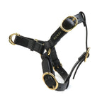 Gucci Dog Harness — view 2