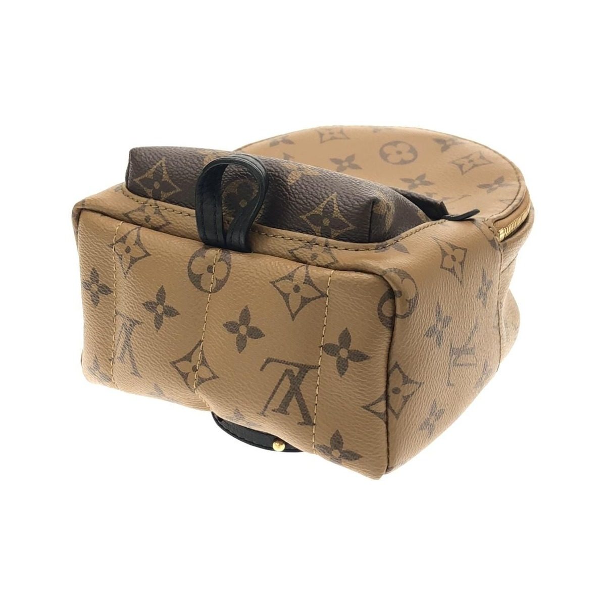 Louis Vuitton Monogram Reverse Palm Springs Backpack Mini Sac — view 3
