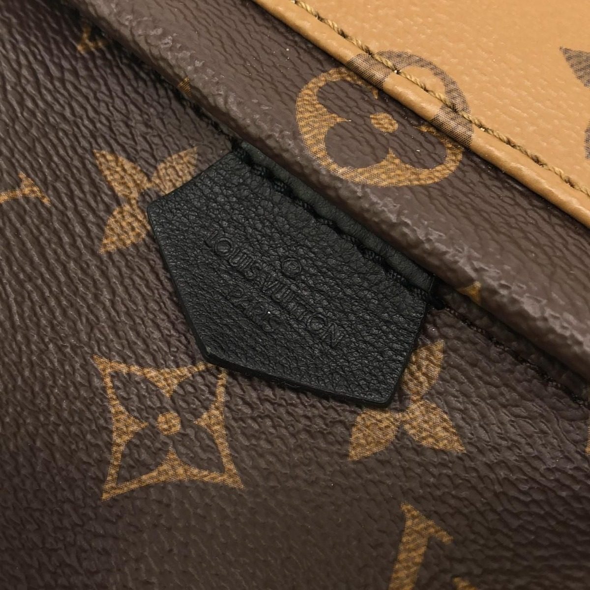 Louis Vuitton Monogram Reverse Palm Springs Backpack Mini Sac — view 4