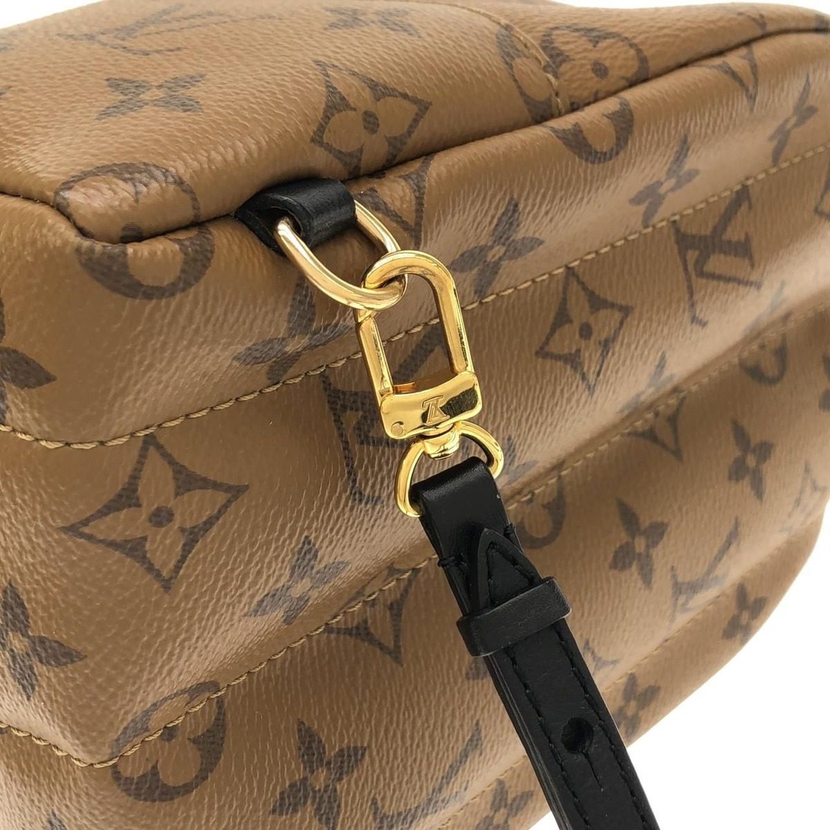 Louis Vuitton Monogram Reverse Palm Springs Backpack Mini Sac — view 5