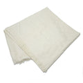 Louis Vuitton Shawl Monogram