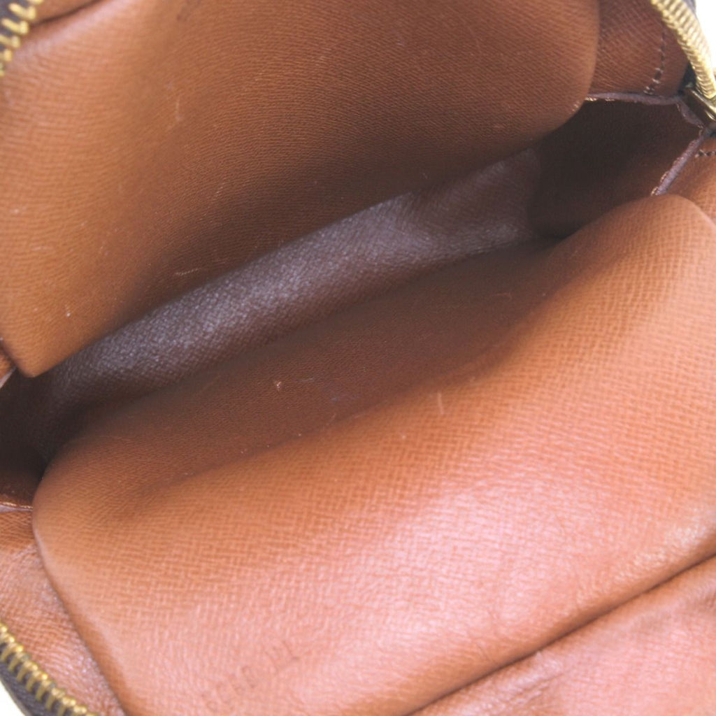 Louis Vuitton Monogram Mini Amazon Shoulder Bag — view 8