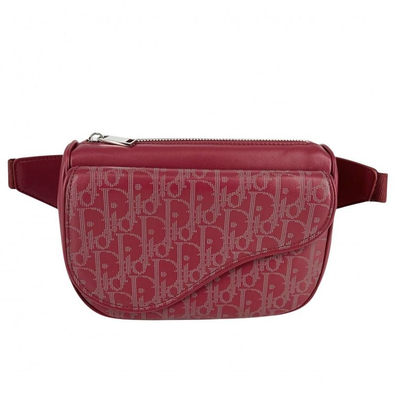 Dior Body Bag Oblique Galaxy Shoulder World Tour Saddle — view 2
