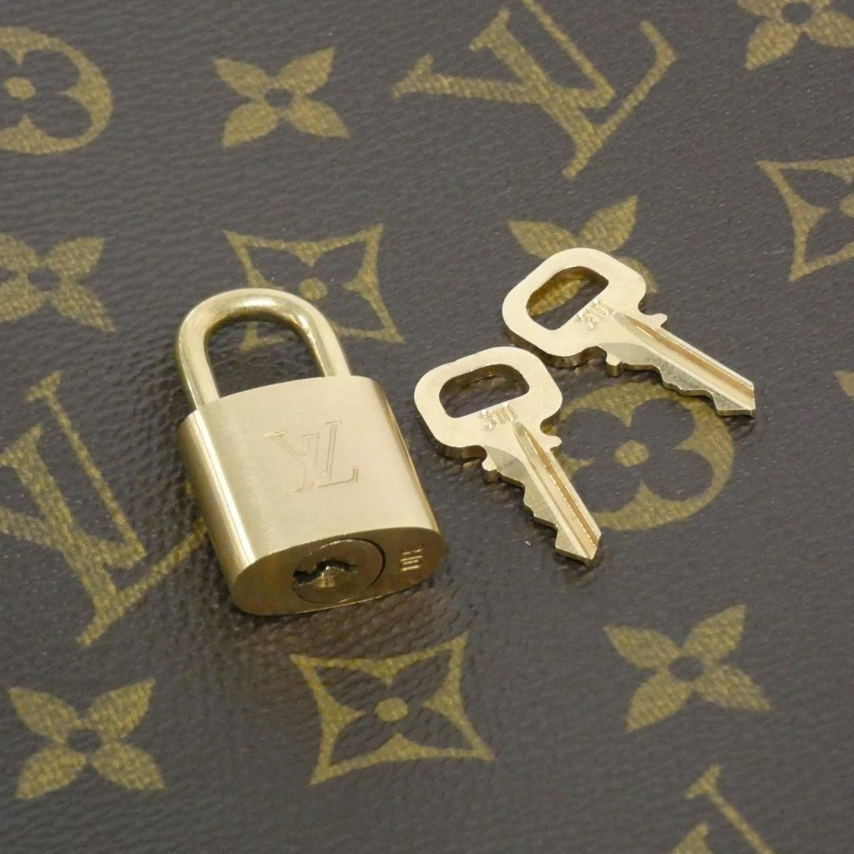 Louis Vuitton Monogram Pegase Carry Bag — view 6