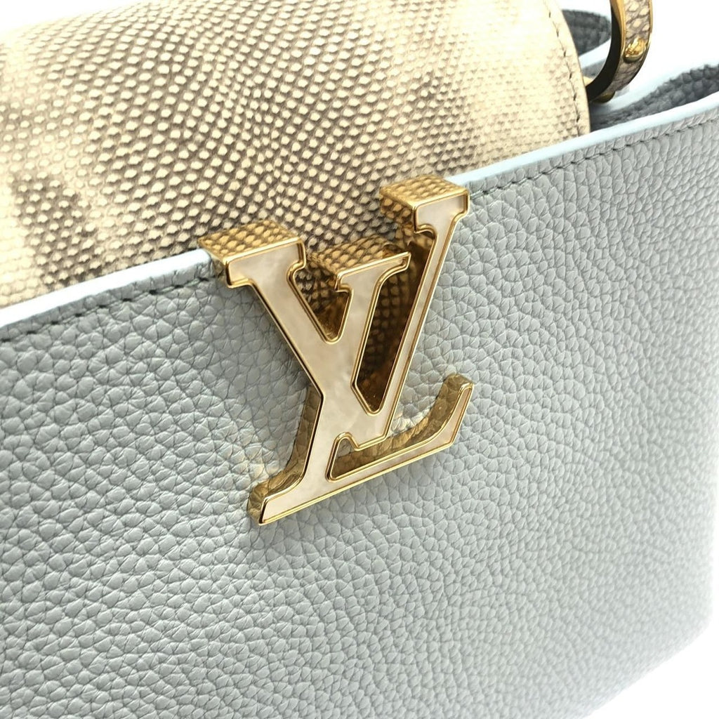 Louis Vuitton Exotic Leather Capucines BB Bag Bleu Olympe — view 4