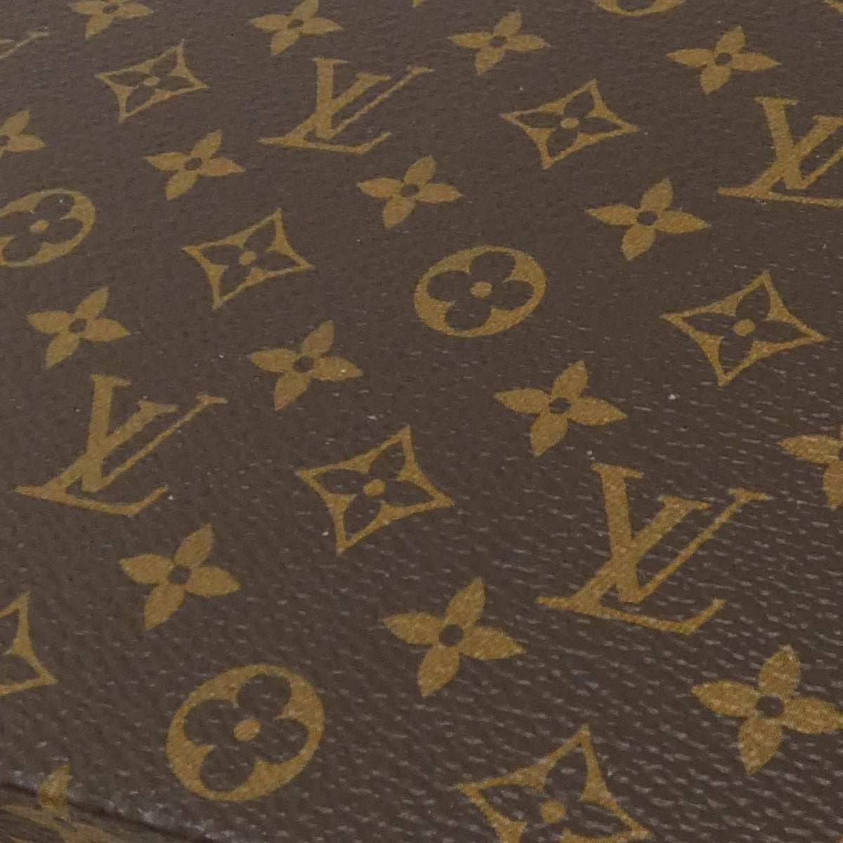 Louis Vuitton Monogram Mini Maru Case — view 4