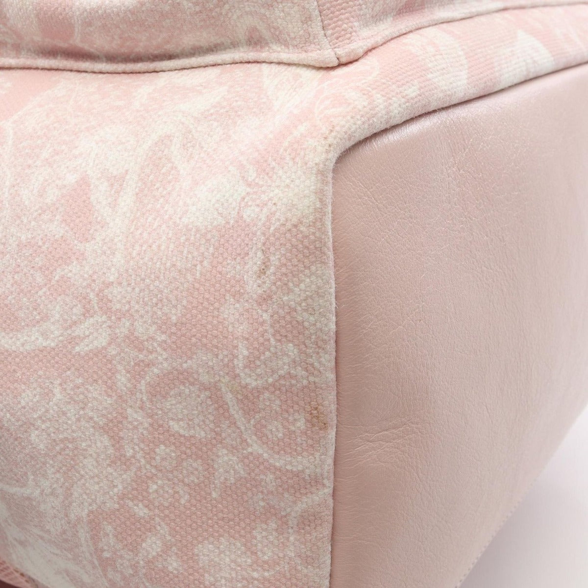 Dior Backpack Light Pink Canvas Leather de Jouy — view 5