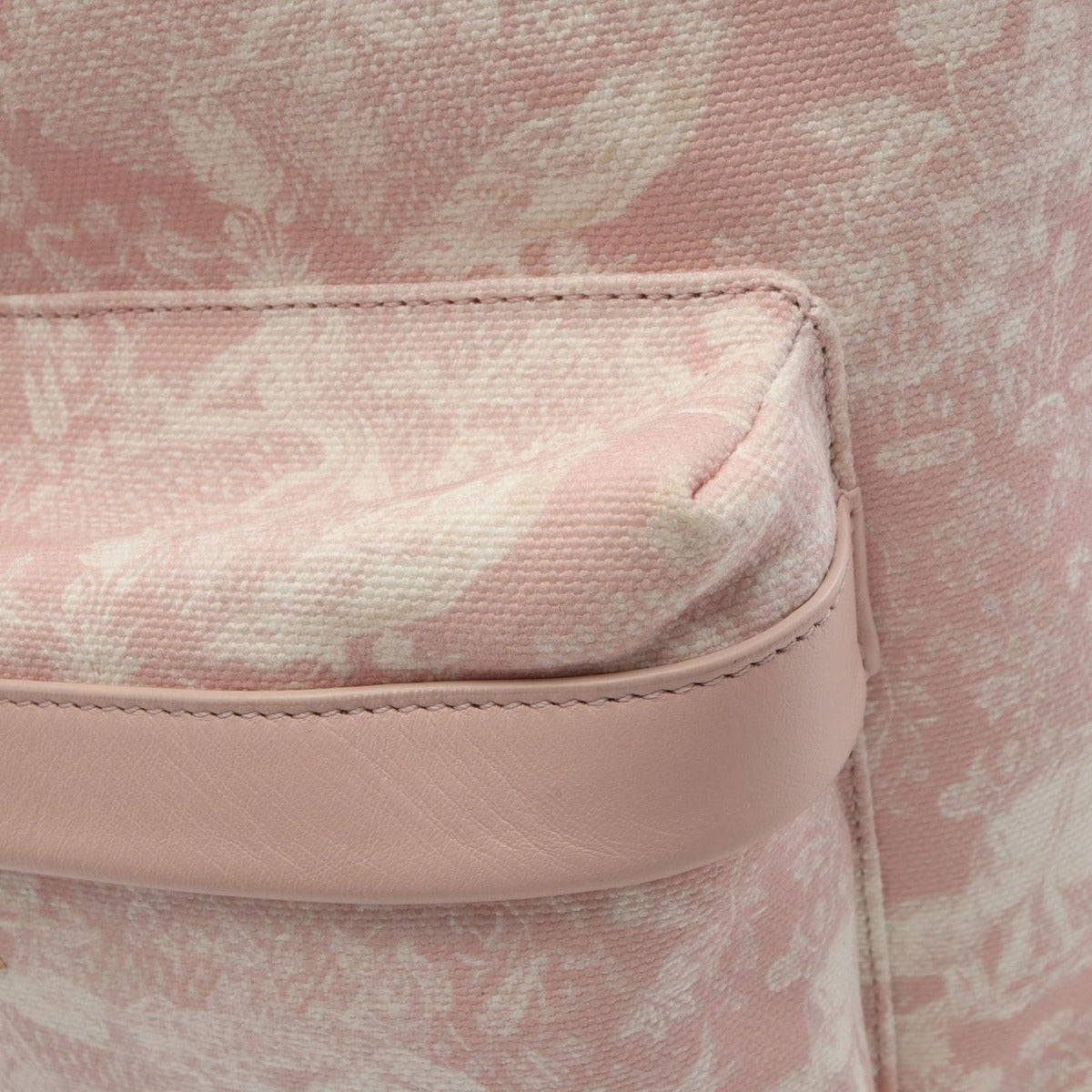 Dior Backpack Light Pink Canvas Leather de Jouy — view 7