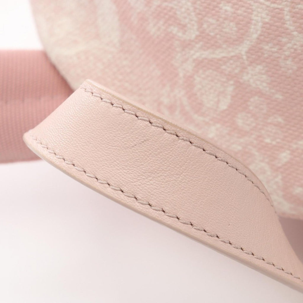 Dior Backpack Light Pink Canvas Leather de Jouy — view 8