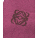 Loewe Scarf Wool Pink — view 3
