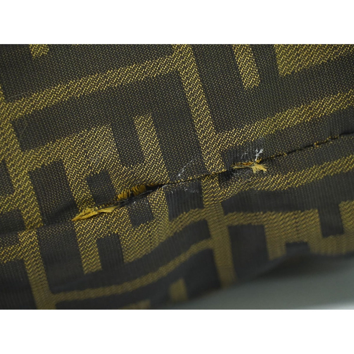 Fendi Zucca Pouch Case Nylon Brown — view 6