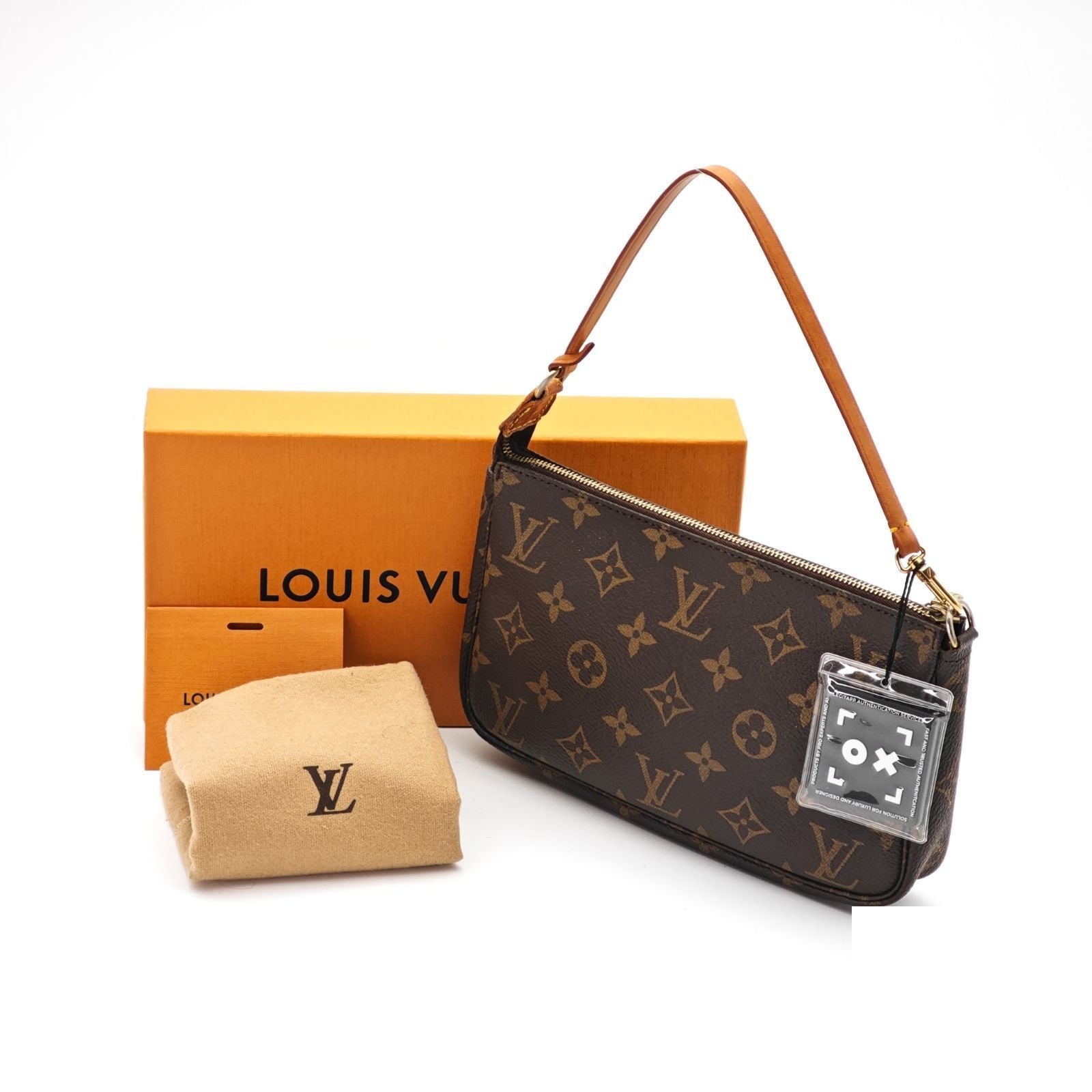 Louis Vuitton Pochette Accessoires Mini Bag Brown
