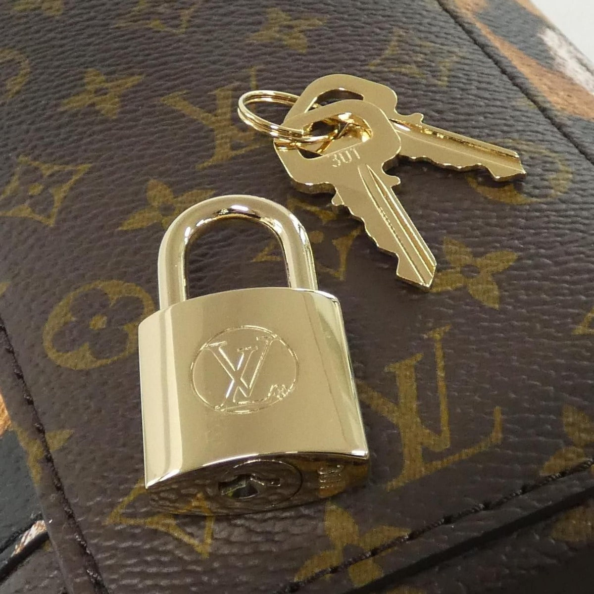 Louis Vuitton Monogram Cannes Bag — view 4