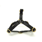 Gucci Interlocking Small Pet Harness for Dogs Pet Supplies Leather Black Pet — view 3