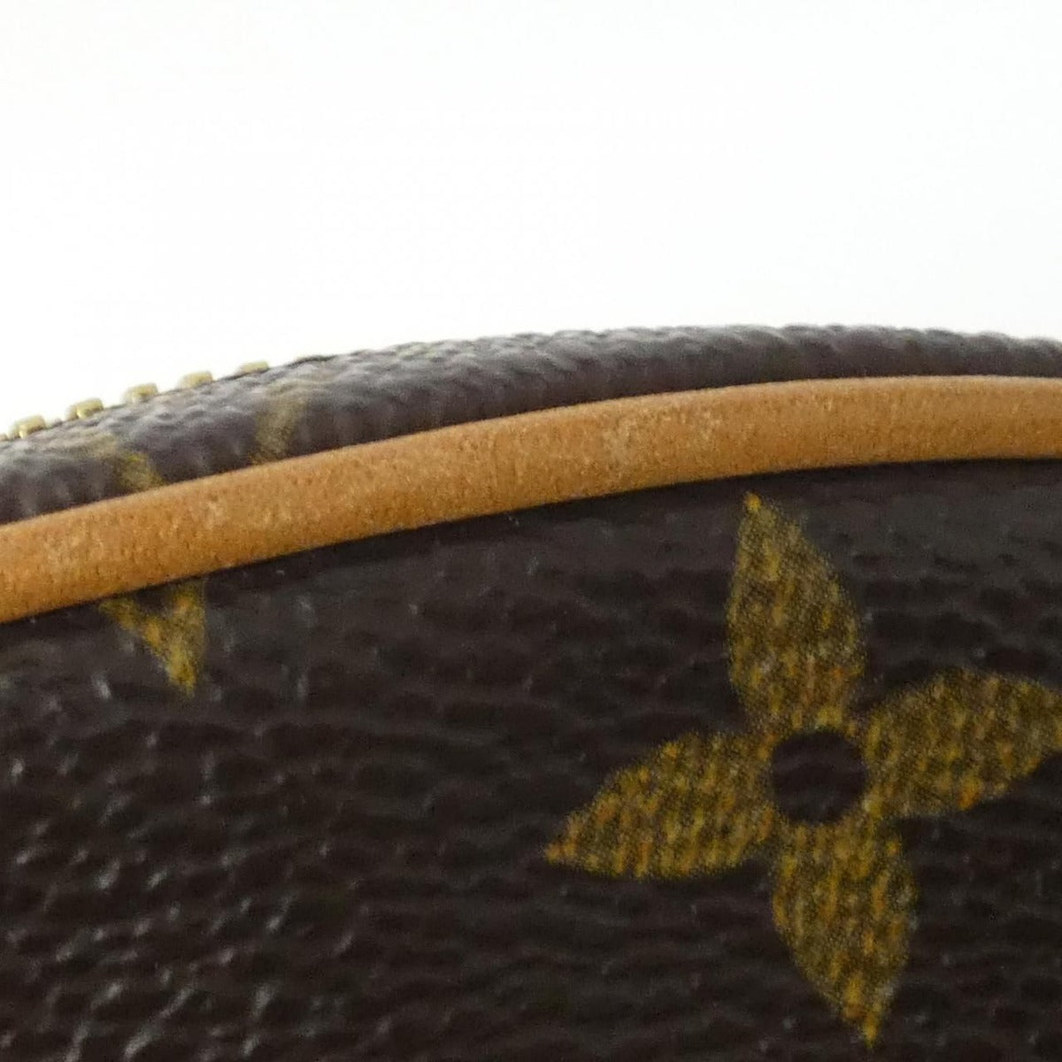 Louis Vuitton Monogram Pochette Gange Shoulder Bag — view 5