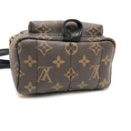 Louis Vuitton Backpack Palm Springs Mini Monogram Canvas Brown — view 5