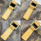 Louis Vuitton Monogram Hippo Piano Brown Handbag Gold Hardware — view 7