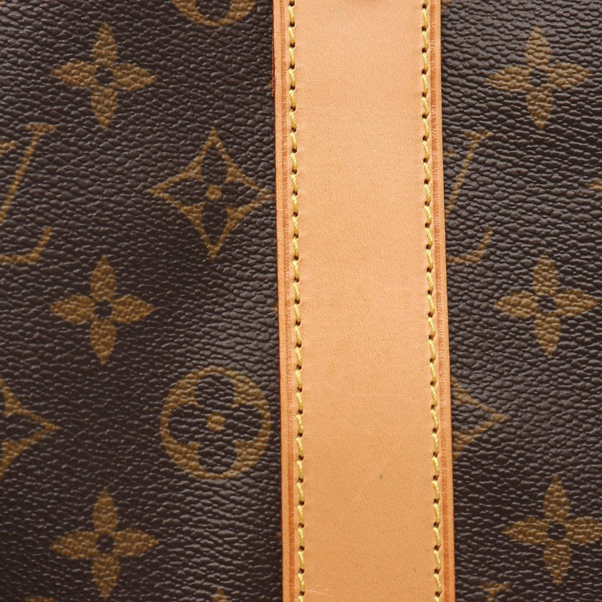 Louis Vuitton Boston Bag Carrier Canvas Leather — view 6