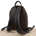 Louis Vuitton Monogram Palm Springs Backpack Rucksack Daypack